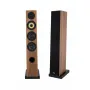 Напольная акустика Davis Acoustics Courbet 5 Walnut Venner