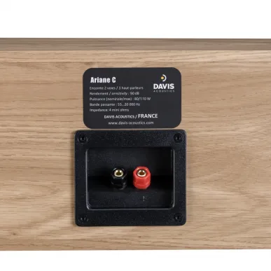 Центральный канал Davis Acoustics Ariane C Black