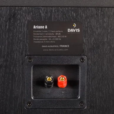 Акустика Dolby Atmos Davis Acoustics Ariane A Light Oak