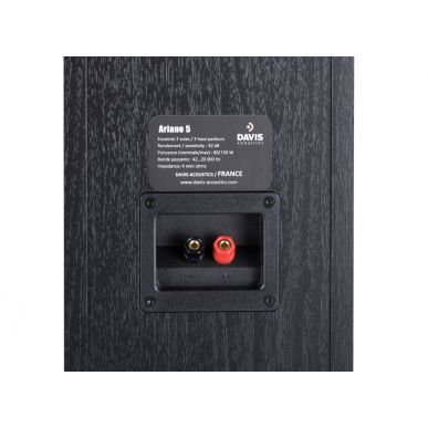 Напольная акустика Davis Acoustics Ariane 5 Black