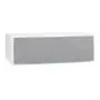 Центральный канал Martin Logan Motion 50XTi Matte White