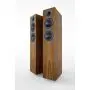 Напольная акустика Acoustic Energy AE309 (2018) Walnut wood veneer
