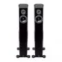 Напольная акустика AUDIO PHYSIC TEMPO 25 Black Ash