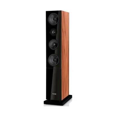 Напольная акустика AUDIO PHYSIC CLASSIC 35 Walnut