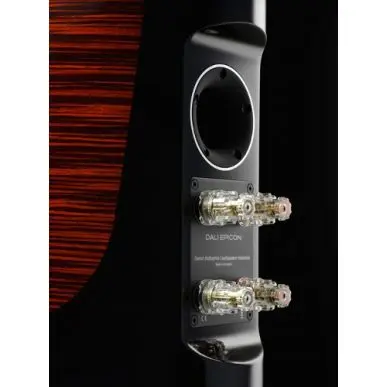 Напольная акустика Dali Epicon 6 black