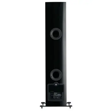 Активная напольная акустика Dali RUBICON 6 C Black High Gloss