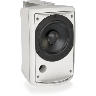 Настенная акустика Tannoy AMS 5ICT-WH LZ