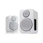 Полочная беспроводная акустика Wharfedale DS-2 White