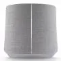 Harman/Kardon Citation Sub Grey