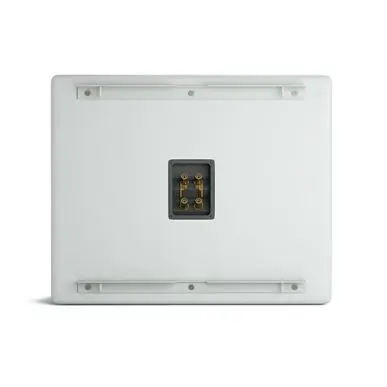 Cабвуфер CVGAUDIO SUBONE MODEL B-8/W/CR/T