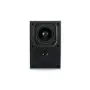 Настенная акустика CVGAUDIO WPA10TW