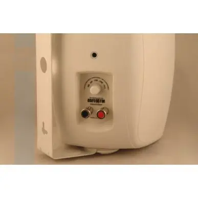 Настенная акустика CVGAUDIO ODF516TBL