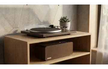 Винил без границ гармония звука и интерьера