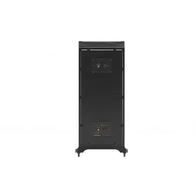 Сабвуфер Gold Note DIANA 3 Subwoofer (black (black tweeter))
