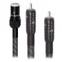 Межблочный кабель Wireworld Silver Eclipse 8 Female Tonearm DIN plug to 2RCA Males 1m
