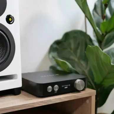 Стереоусилитель OCTAVIO AMP 100W