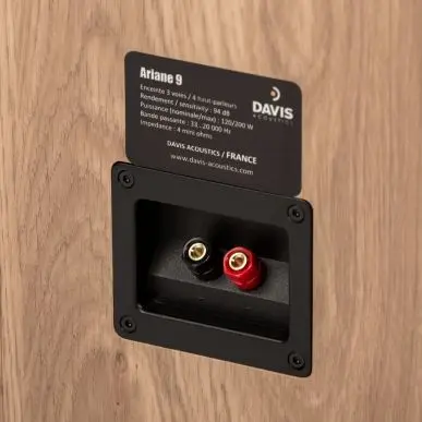Напольная акустика Davis Acoustics Ariane 9 Light Oak