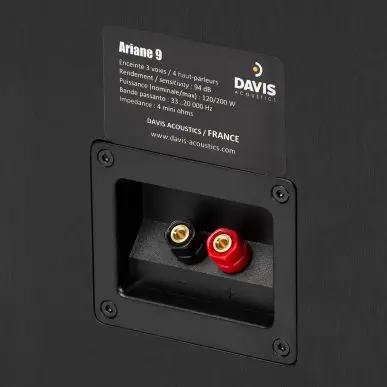 Напольная акустика Davis Acoustics Ariane 9 Black