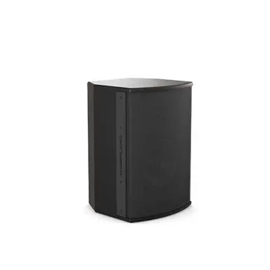 Настенная акустика CVGAUDIO BS608TBL
