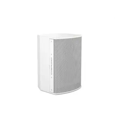 Настенная акустика CVGAUDIO BS608TW