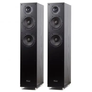 Напольная акустика Radiotehnika Gamma 3.02 Black Ash