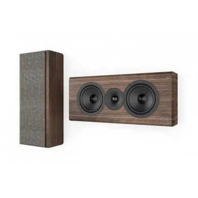 Центральный канал Acoustic Energy AE307-2 (2025) WALNUT