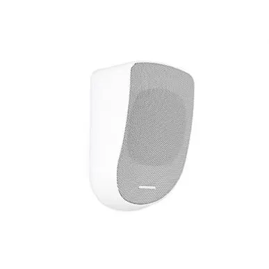 Настенная акустика CVGAUDIO WPL6TW