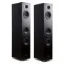 Напольная акустика Radiotehnika Gamma 3.03 Black Ash