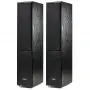 Напольная акустика Radiotehnika Alfa 1.02 MKII Black Ash