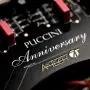 Стереоусилитель Audio Analogue Puccini Anniversary Black