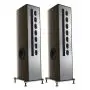 Напольная акустика T+A Solitaire S 530 Makassar hg - silver
