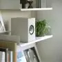 Полочная акустика KEF Q1 Meta Satin White