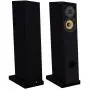 Напольная акустика Davis Acoustics Courbet 4 Black Matt
