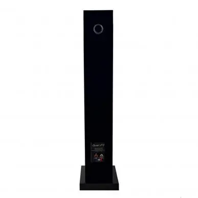 Напольная акустика Davis Acoustics Courbet 5 Black Gloss