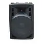 Акустическая система XLINE BAF-12A