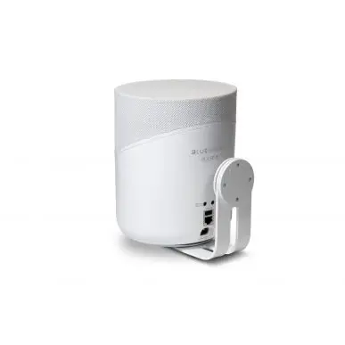 Умная колонка Bluesound Pulse M, white