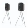 Полочная акустика Q Acoustics Concept 300 (QA2730) Gloss Black & Rosewood