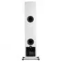 Активная напольная акустика Dali Rubicon 6 C walnut + DALI Sound Hub + BluOS Module