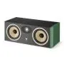Центральный канал Focal ARIA EVO X CC Moss High Gloss