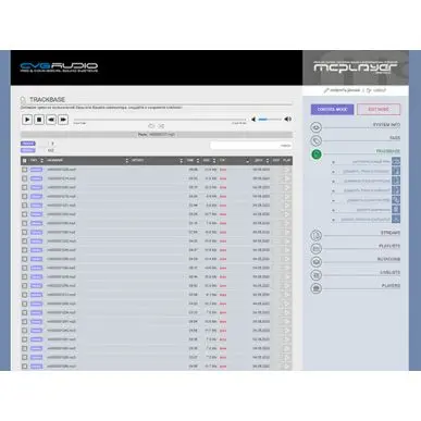 Микшер-усилитель CVGAUDIO MCplayer-24T