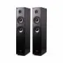 Напольная акустика Radiotehnika Alfa 1.02 Black Ash
