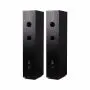 Напольная акустика Radiotehnika Alfa 1.02 Black Ash