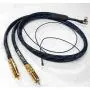 DH Labs Dimension Phono interconnect 5pin(90 angled) - 2RCA 2.0m