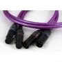 Кабель XLR NEOTECH NEI-4001X 2м