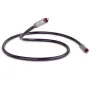 Коаксиальный аудио кабель QED Reference Digital Audio 40 1.0m