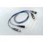 DH Labs BL-1 interconnect XLR 0, 50m