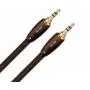 Межблочный кабель RCA AudioQuest Big Sur 3.5M-3.5M, 0.6 м