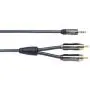Jack 3,5/2 RCA QED Performance Audio J2P Graphite 3.5mm Jack - 2RCA 3,0m QE6501
