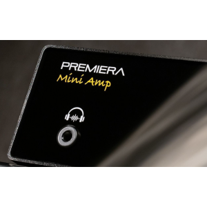 Тест стримингового усилителя Premiera Mini Amp