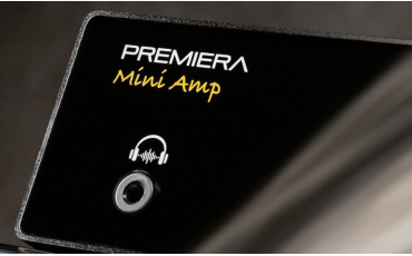 Тест стримингового усилителя Premiera Mini Amp